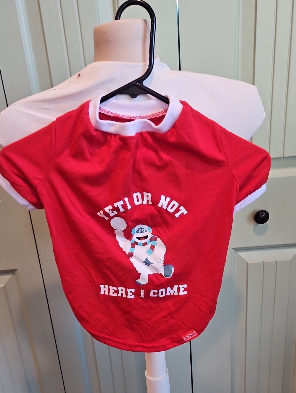 Medium Dog Graphic Tee - 'Yeti Or Not Here I Come'